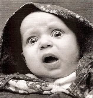 salsurprise.jpg Baby image by cephyr13