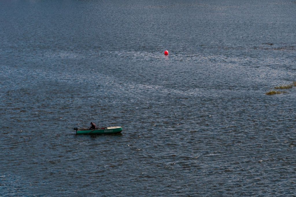 photo Narva-16AUG2015-LoRes-0079_zpsyxi3tjdy.jpg