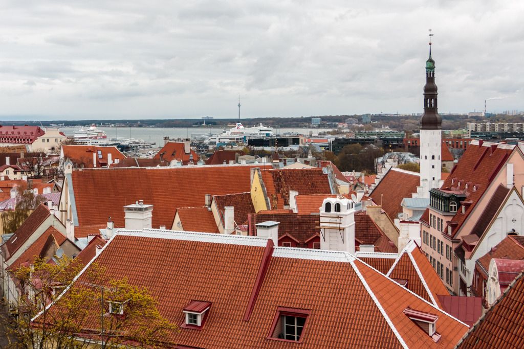 photo Tallinn_May2014-LoRes-0178_zpsv2qwdqs0.jpg