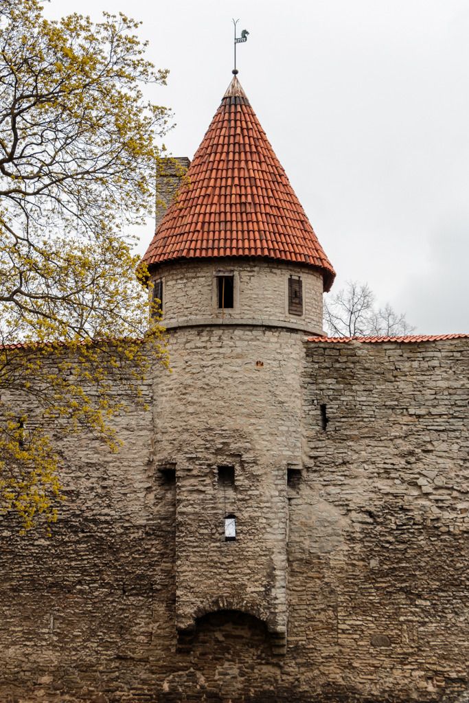  photo Tallinn_May2014-LoRes-0202_zpsqn2duooe.jpg