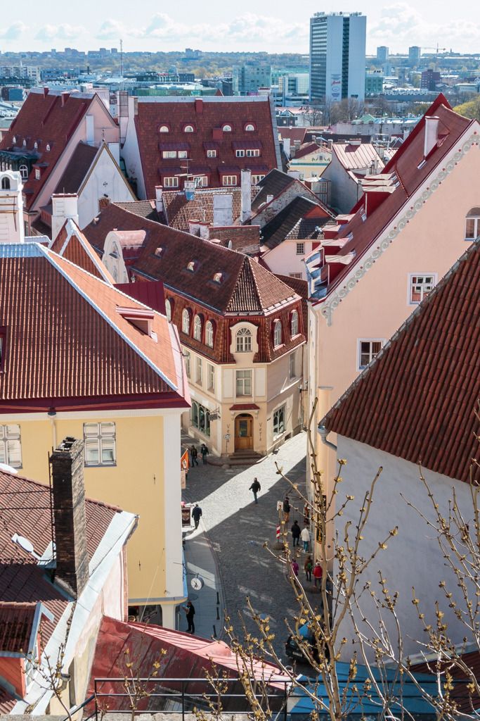photo Tallinn_May2014-LoRes-0264_zpsctdrko5c.jpg