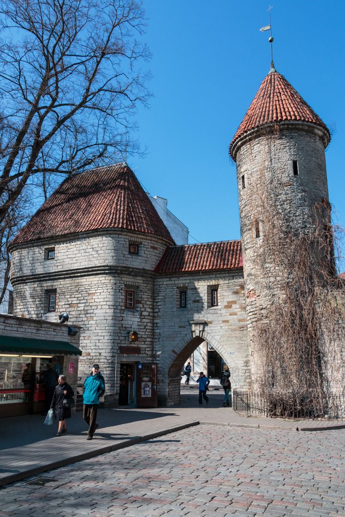 photo Tallinn_May2014-LoRes-0301_zpsczpkxupz.jpg