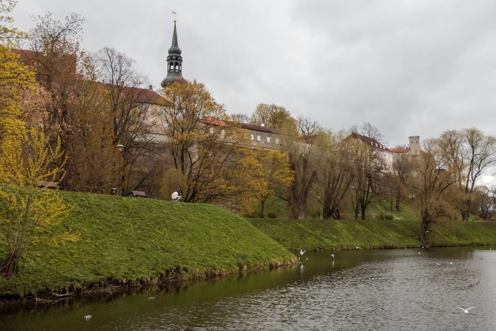  photo Tallinn_May2014-LoRes-0558_zpswa7pfxcz.jpg