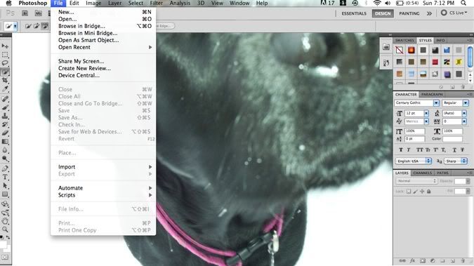Photobucket