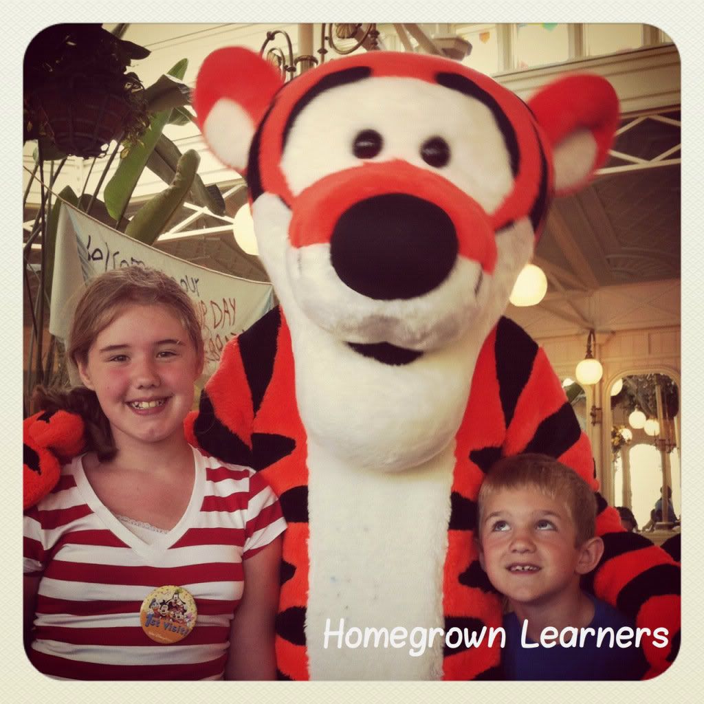 Collage Friday The Disney Surprise — Homegrown Learners