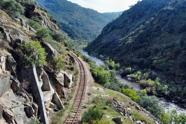 photo DSC_0233_zps3c8d433b.jpg