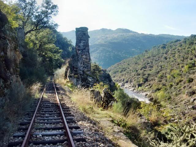 photo CIMG0246_zps00a5667b.jpg