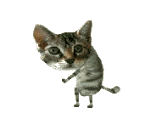 Animated Dancing Cat