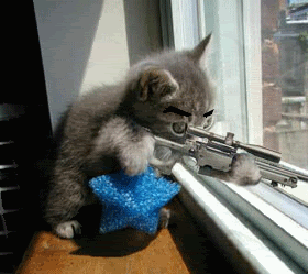 animated sniper photo: Animated Sniper Cat Animated_Sniper_Cat-1.gif