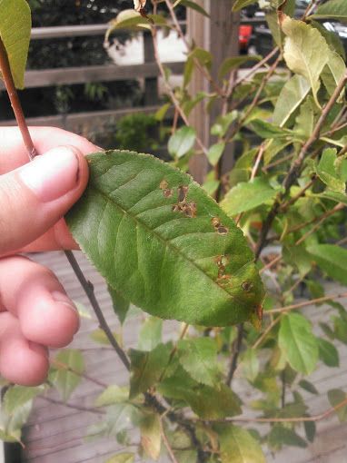  photo 14-4_zpsd3a877d8.jpg