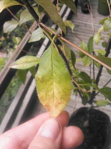  photo 14-6_zpsd46984ef.jpg