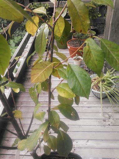  photo 14-7_zps18de55d8.jpg