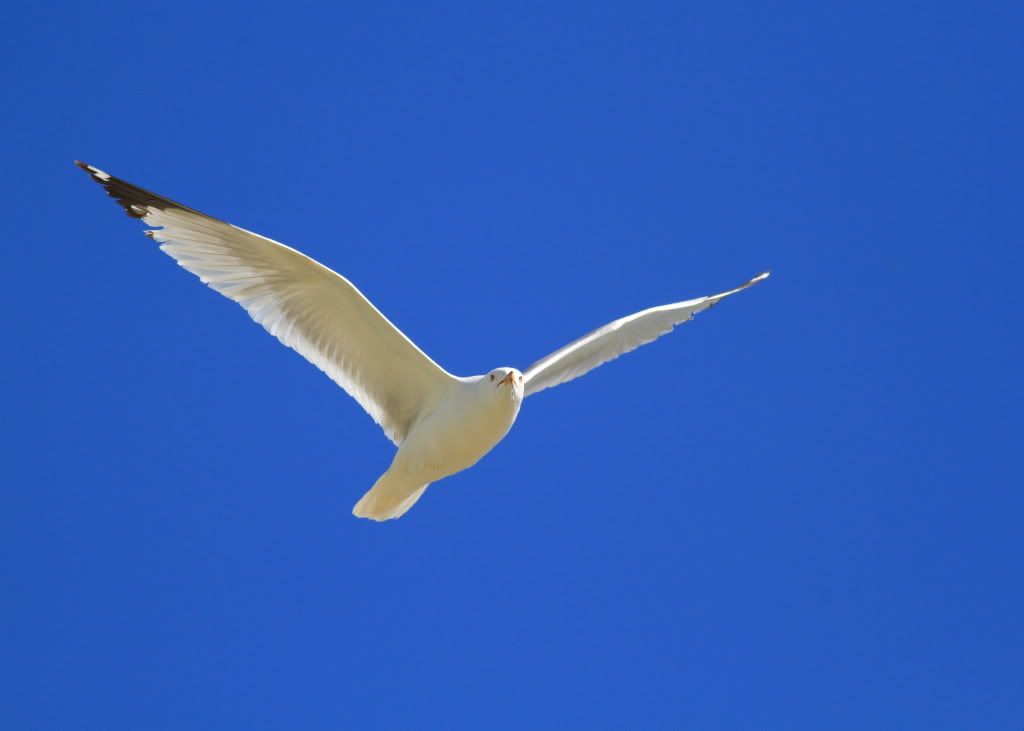 IMAGE: http://i745.photobucket.com/albums/xx97/et078/004.jpg