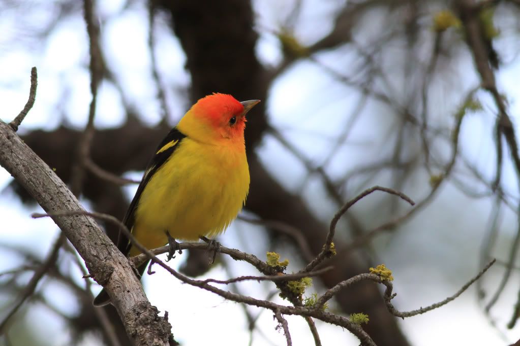 IMAGE: http://i745.photobucket.com/albums/xx97/et078/011.jpg