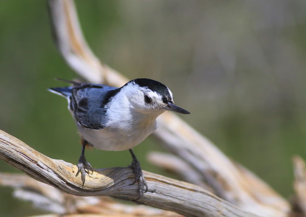 IMAGE: http://i745.photobucket.com/albums/xx97/et078/018-1.jpg