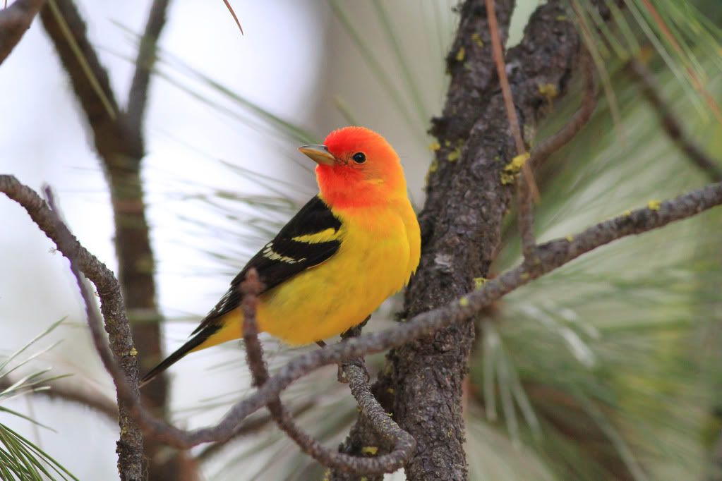 IMAGE: http://i745.photobucket.com/albums/xx97/et078/025.jpg