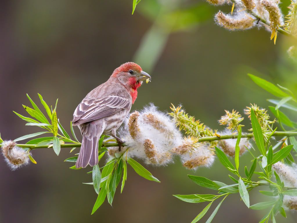 IMAGE: http://i745.photobucket.com/albums/xx97/et078/040.jpg