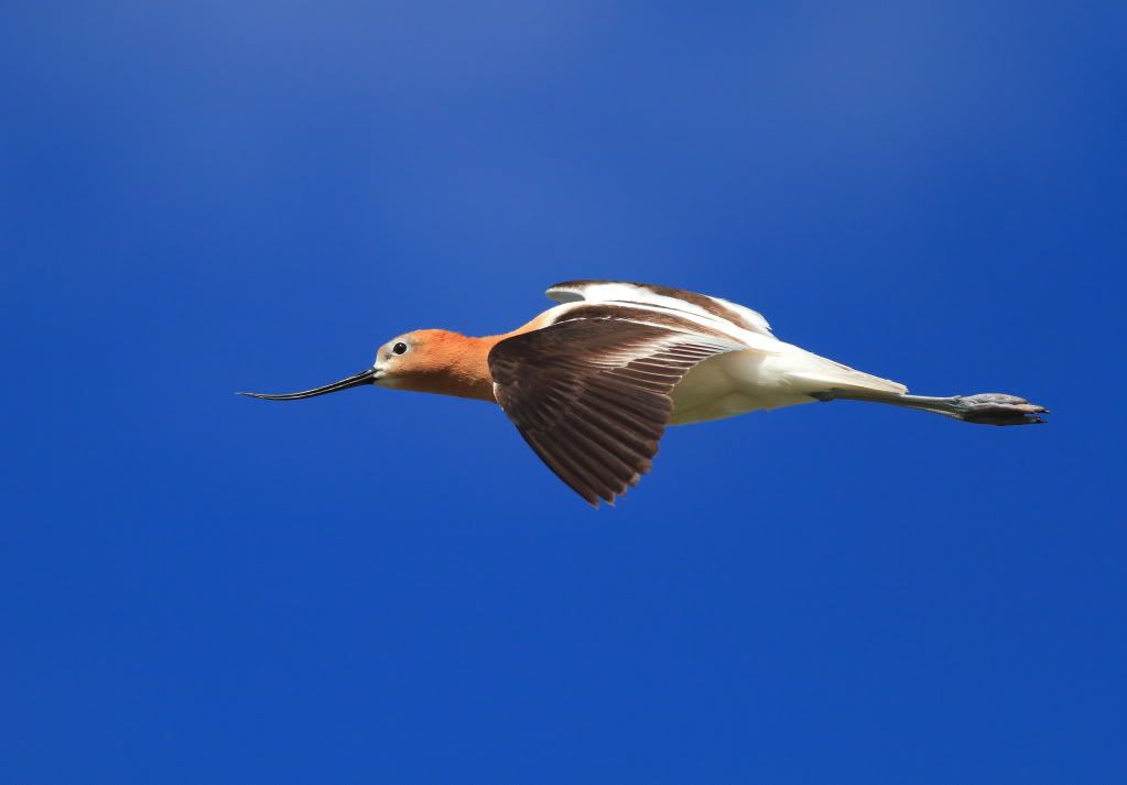 IMAGE: http://i745.photobucket.com/albums/xx97/et078/045.jpg