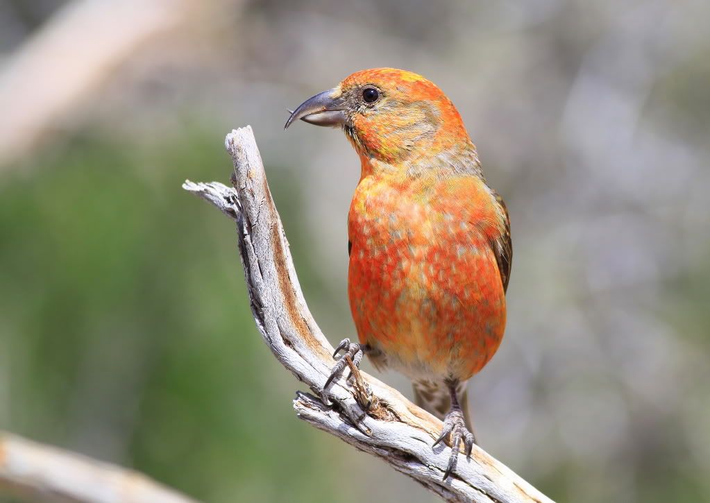 IMAGE: http://i745.photobucket.com/albums/xx97/et078/055-1-1.jpg