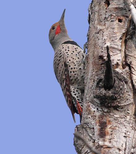 IMAGE: http://i745.photobucket.com/albums/xx97/et078/Flicker.jpg