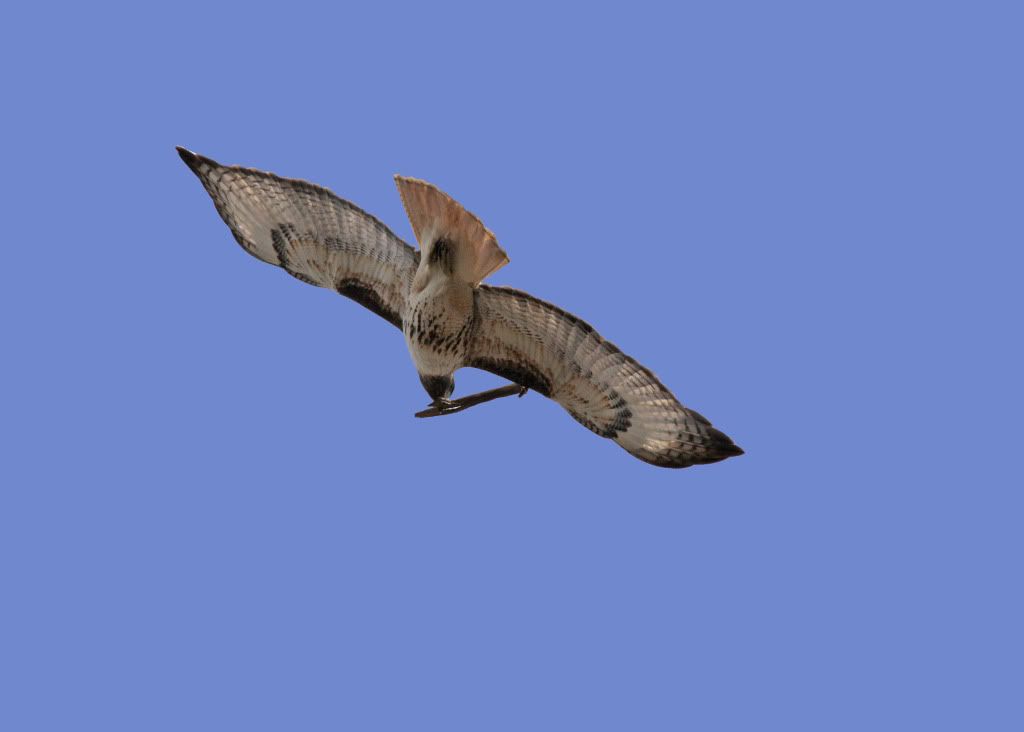 IMAGE: http://i745.photobucket.com/albums/xx97/et078/HDR/MalheurRefugeMarch202010131-1.jpg