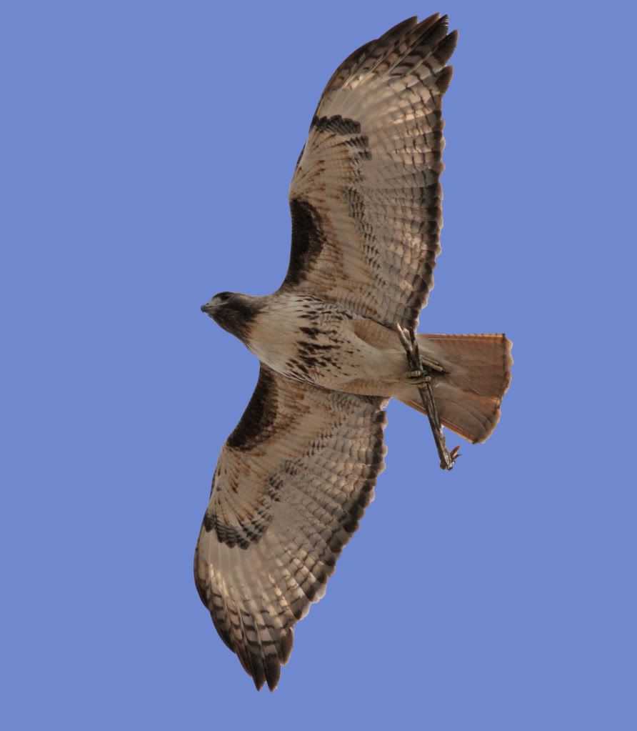 IMAGE: http://i745.photobucket.com/albums/xx97/et078/HDR/MalheurRefugeMarch202010140-1.jpg