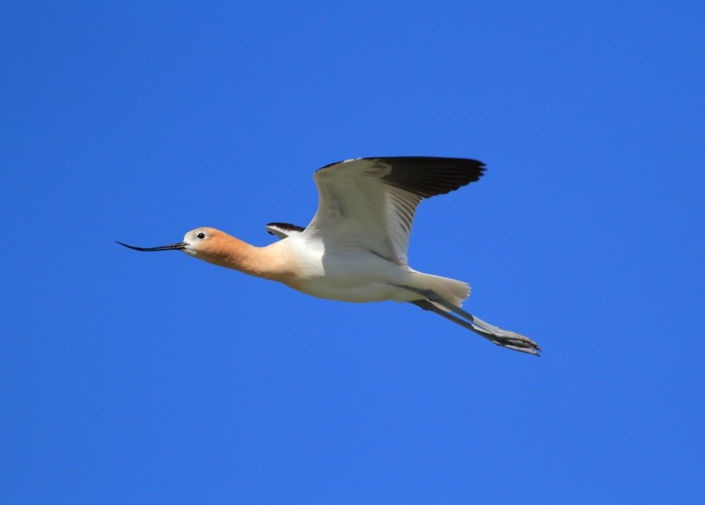 IMAGE: http://i745.photobucket.com/albums/xx97/et078/SummerlakeJune132010188-1.jpg