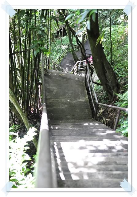 12 ก ย 53 เที่ยวเขาใหญ่
