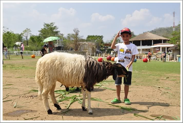 11 12 ก พ 55 เที่ยวสวนผึ้งกับเพื่อนๆ Villa Maroom