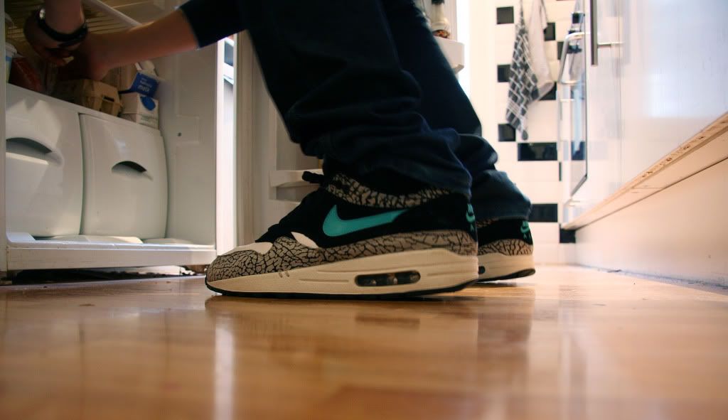 [img width=1024 height=591]http://i745.photobucket.com/albums/xx99/oldskoolpinda/Wivah/AirMax_elephants.jpg[/img]