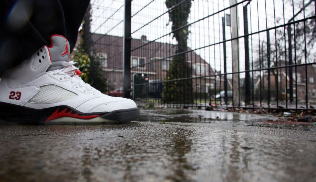 [img width=1024 height=591]http://i745.photobucket.com/albums/xx99/oldskoolpinda/Wivah/Jordans5_zij.jpg[/img]