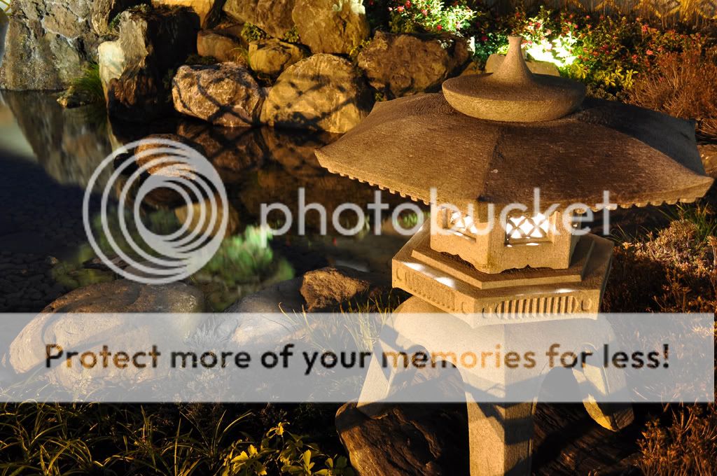 Day two, Japanese Garden at night | Photography Forum